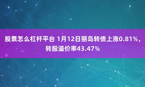 股票怎么杠杆平台 1月12日丽岛转债上涨0.81%，转股溢价率43.47%