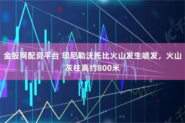 金股网配资平台 印尼勒沃托比火山发生喷发，火山灰柱高约800米